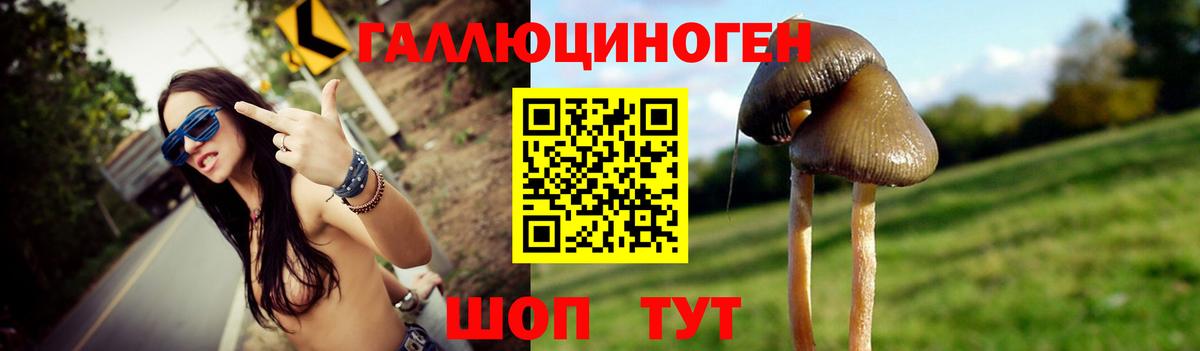 Галлюциногенные грибы ЛСД Курчатов