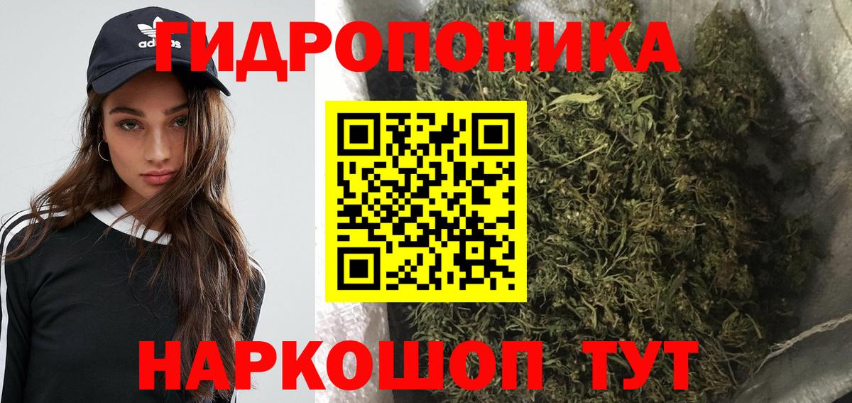 Бошки марихуана Bruce Banner Курчатов